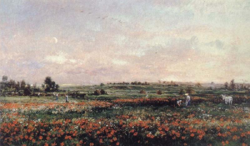 Charles Francois Daubigny Poppy Field